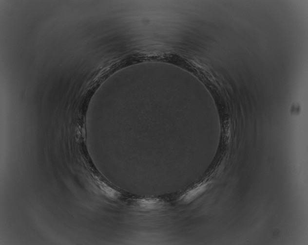 X0000091690916200708301537