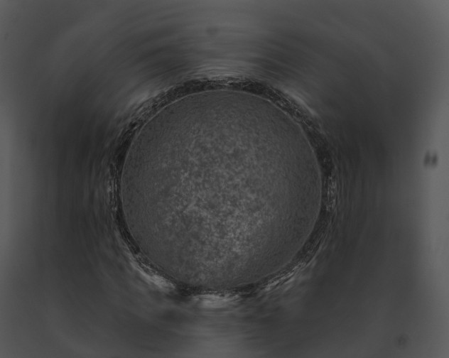X0000091690917200708301537