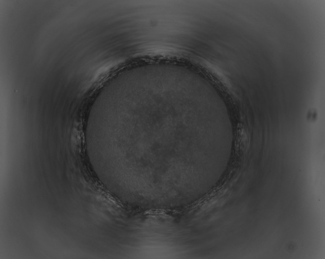 X0000091690918200708301537