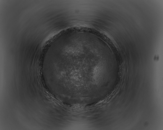 X0000091690919200708301537