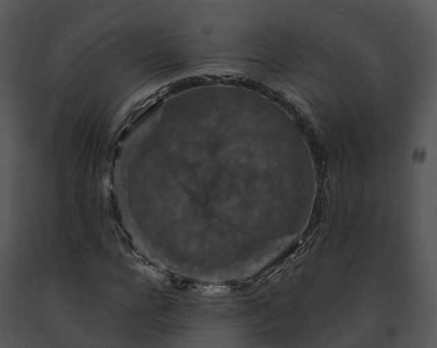 X0000091690920200708301537