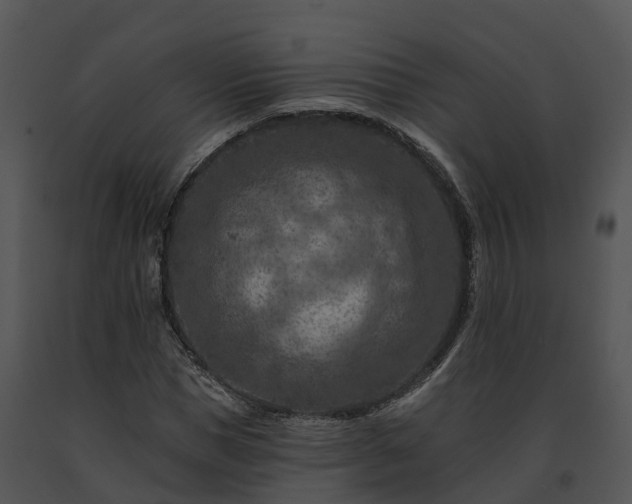 X0000091690921200708301537