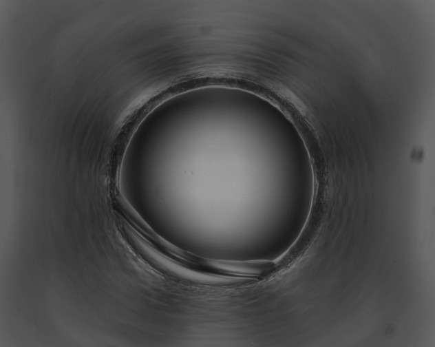X0000091690922200708301537