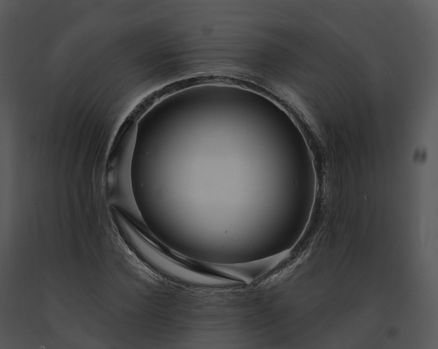 X0000091690924200708301537