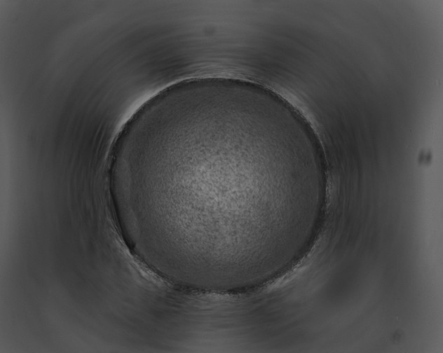 X0000091690925200708301537