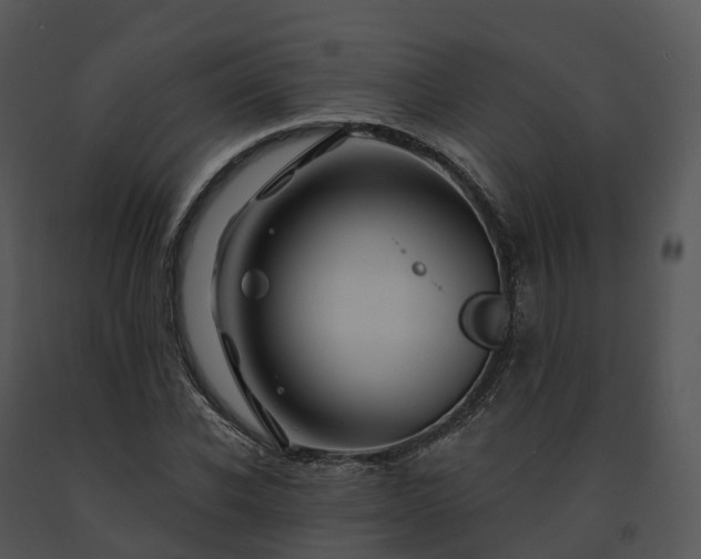 X0000091690926200708301537