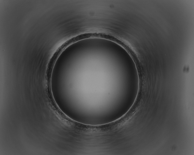 X0000091690927200708301537