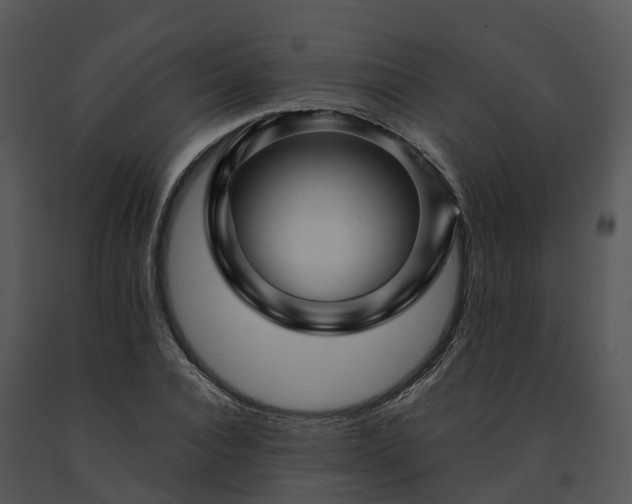 X0000091690928200708301537