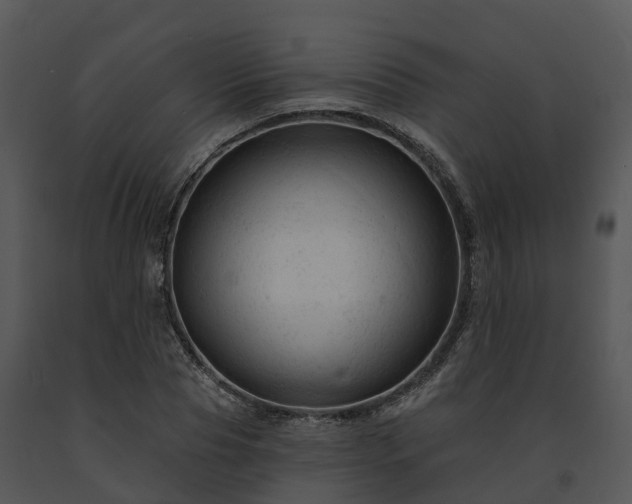 X0000091690929200708301537