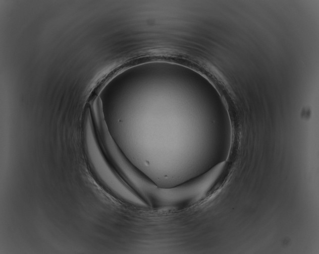 X0000091690930200708301537