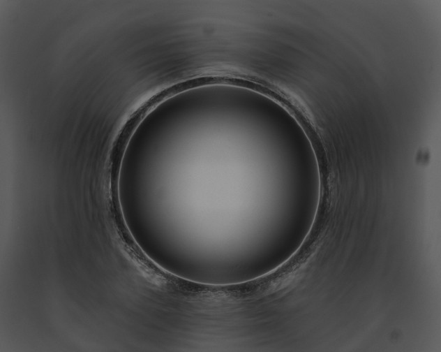 X0000091690931200708301537