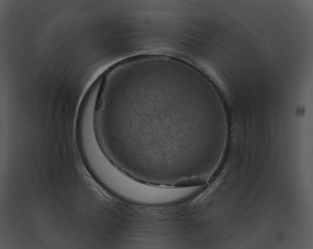 X0000091690932200708301537