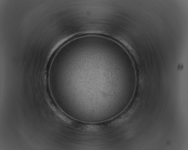 X0000091690933200708301537