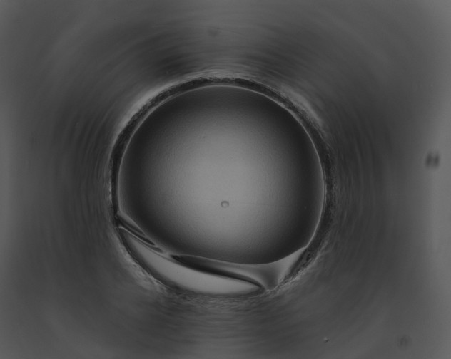 X0000091690934200708301537