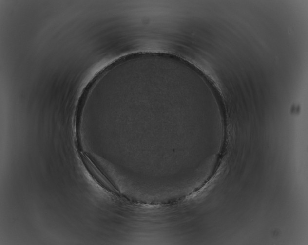 X0000091690935200708301537