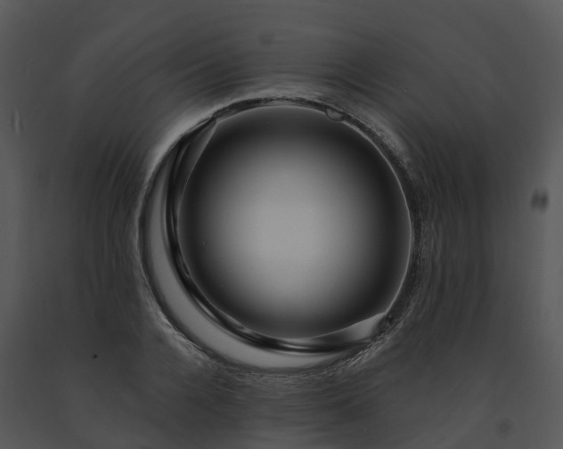 X0000091690936200708301537