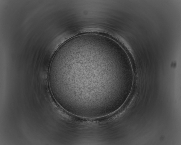 X0000091690937200708301537