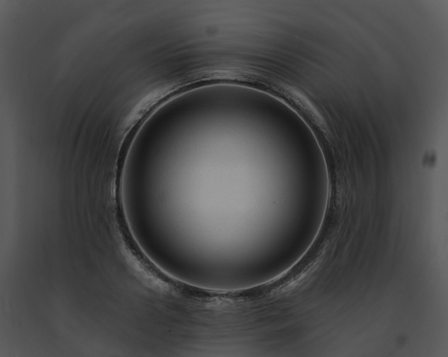 X0000091690938200708301537
