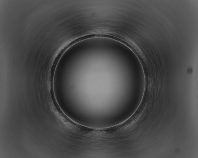 X0000091690939200708301537