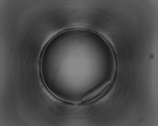 X0000091690941200708301537