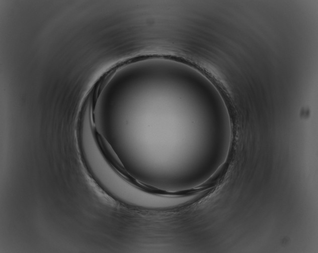 X0000091690942200708301537