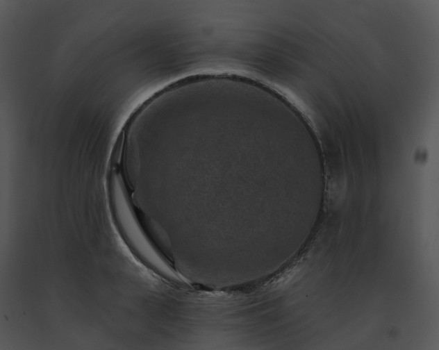 X0000091690943200708301537