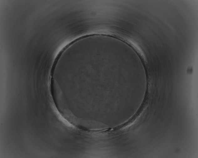 X0000091690944200708301537