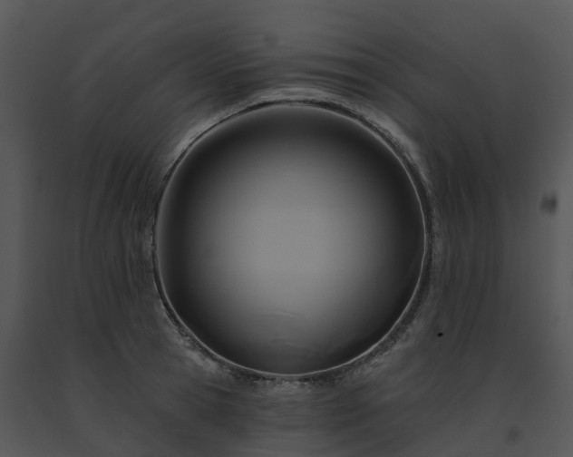 X0000091690945200708301537