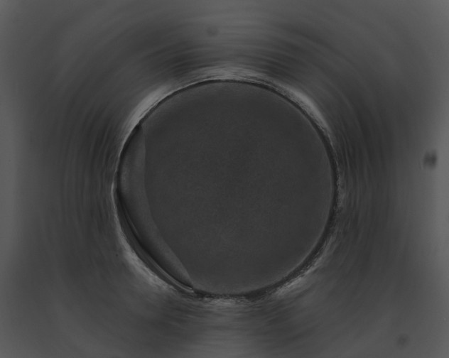 X0000091690946200708301537