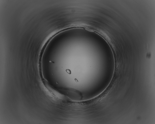 X0000091690947200708301537