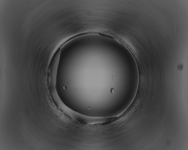 X0000091690948200708301538