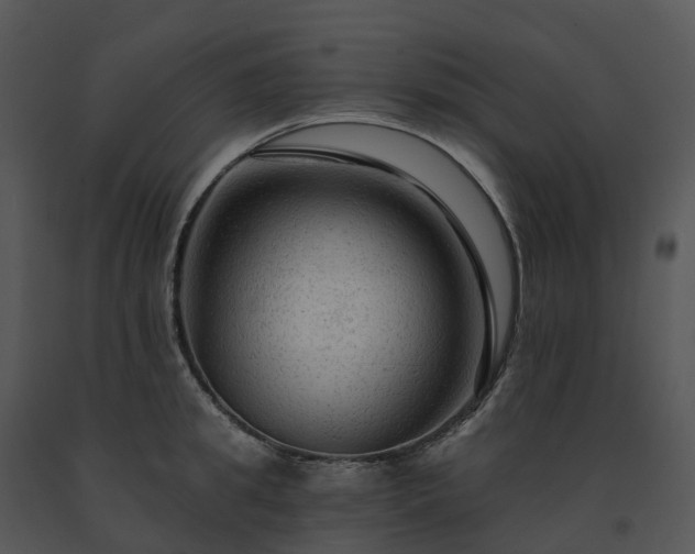 X0000091690949200708301538