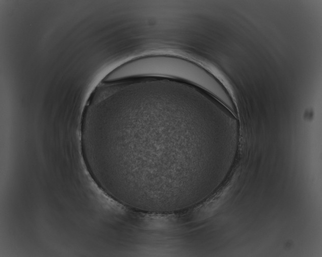 X0000091690951200708301538