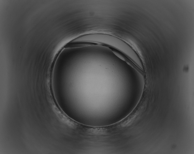 X0000091690952200708301538