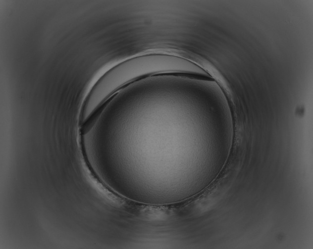 X0000091690955200708301538