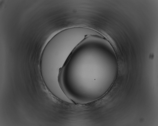 X0000091690956200708301538