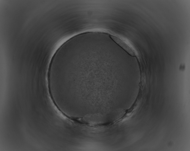 X0000091690959200708301538