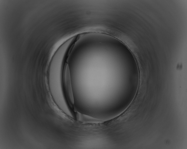 X0000091690960200708301538
