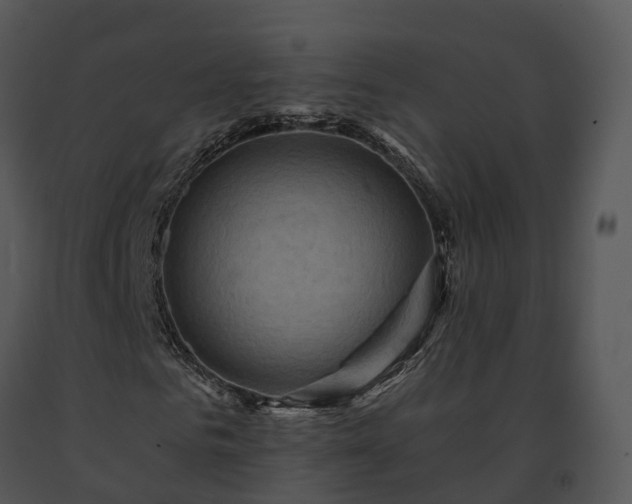 X0000091690961200708301537