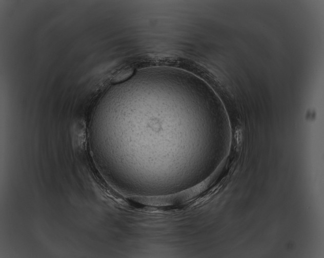 X0000091690963200708301537