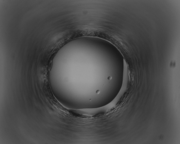 X0000091690964200708301537