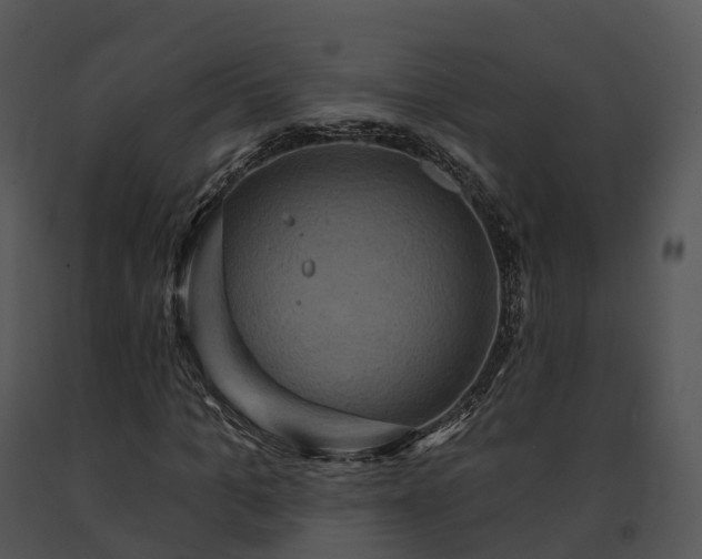 X0000091690965200708301537