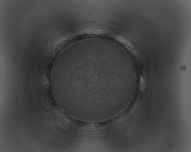 X0000091690966200708301537