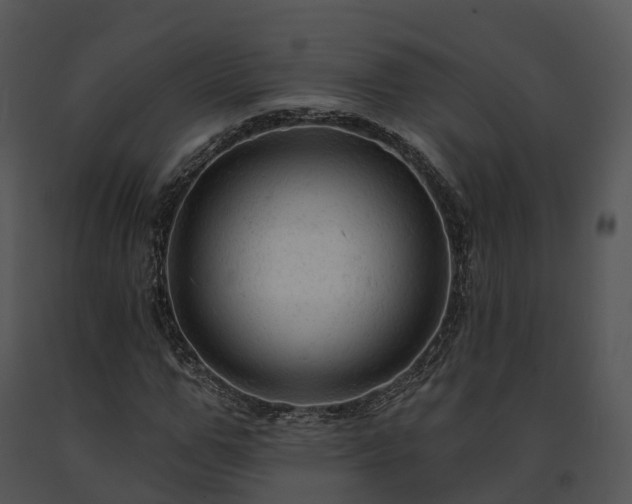 X0000091690967200708301537