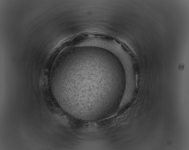 X0000091690968200708301537