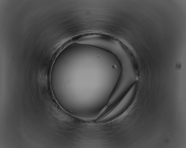 X0000091690969200708301537