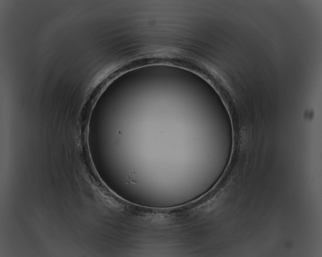 X0000091690970200708301537