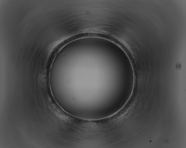 X0000091690971200708301537