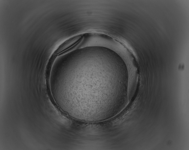 X0000091690972200708301537