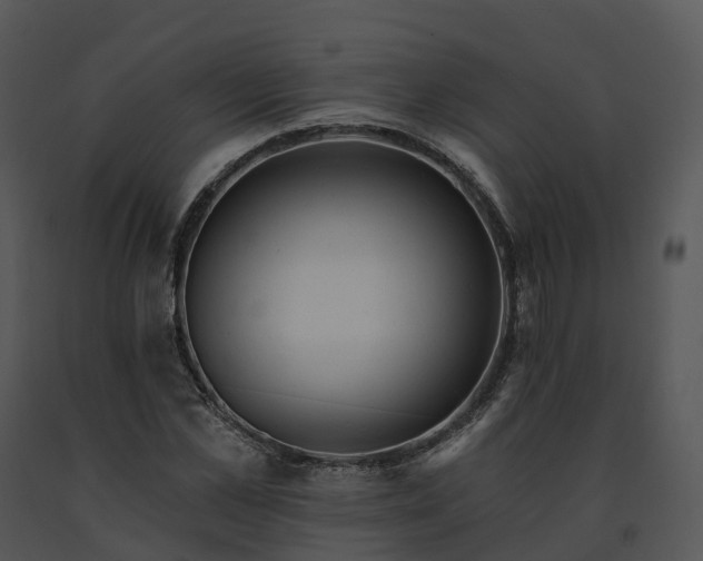 X0000091690973200708301537